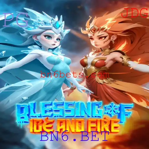 BN6.BET Casino App