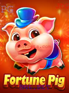 BN6.BET Casino App