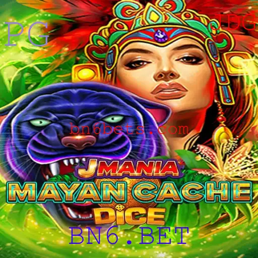 BN6.BET Casino App