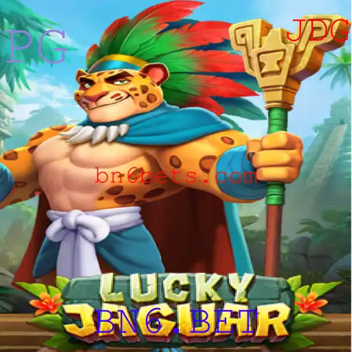 BN6.BET Casino App