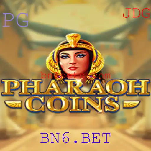 BN6.BET Casino App