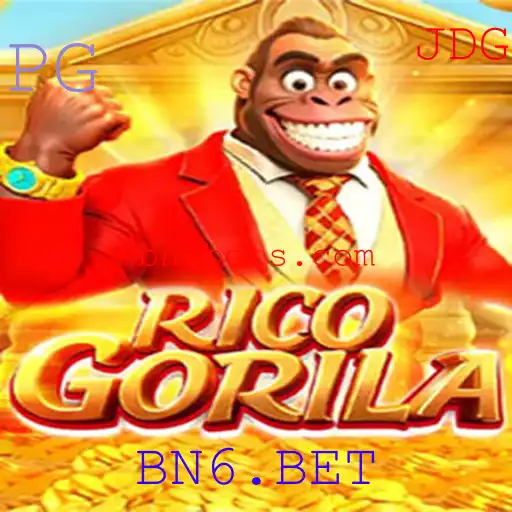 BN6.BET Casino App