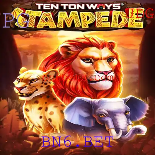 BN6.BET Casino App